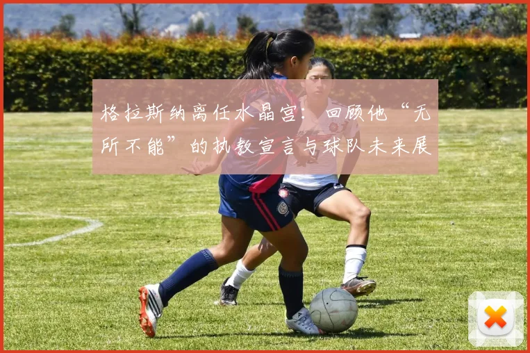 格拉斯纳离任水晶宫：回顾他“无所不能”的执教宣言与球队未来展望，2025-2026赛季前景如何？